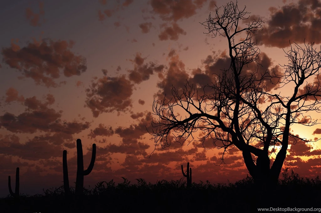 High Quality Images, Hd Desktop Images, Natural, Landscape, Cool ...