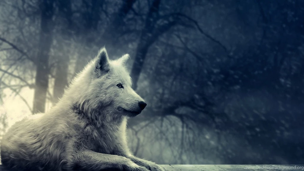 White wolf