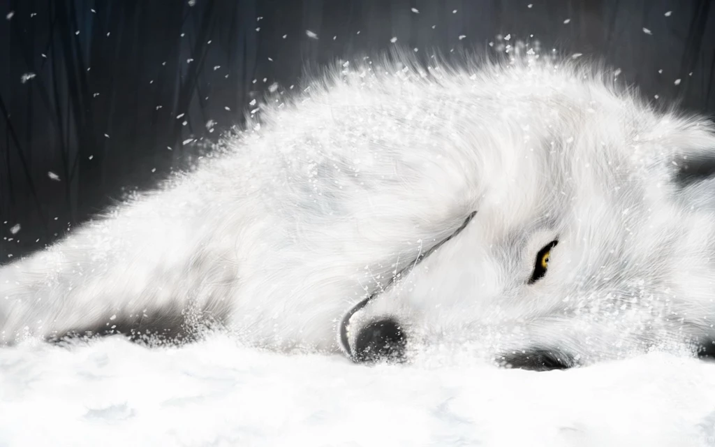 Hd Images Of Big Bad Wolf