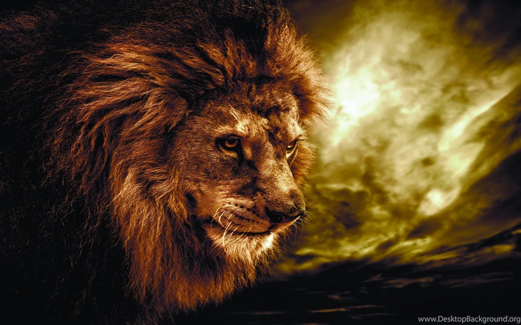 Lion Computer Wallpapers, Desktop Backgrounds