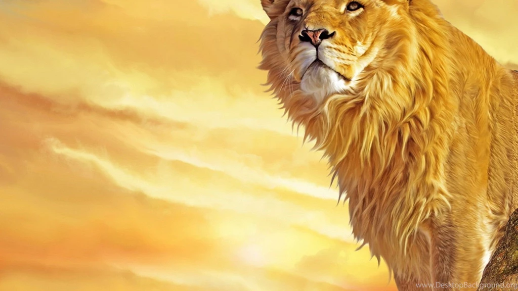 Lion HD Wallpapers Free Download Tremendous Wallpapers