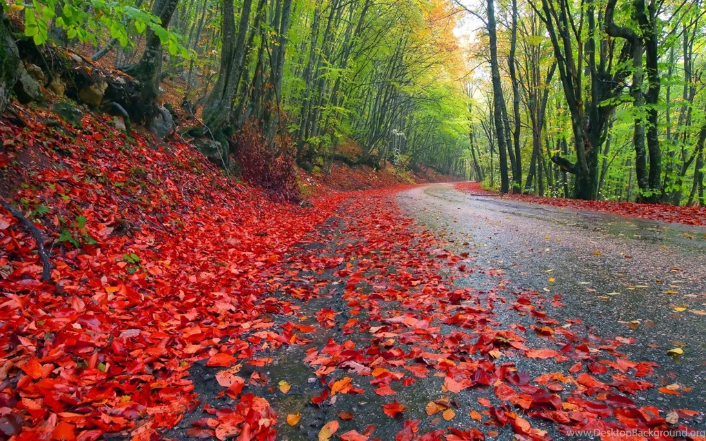 Beautiful Rainy Seasons Wallpapers TechnoRepublica