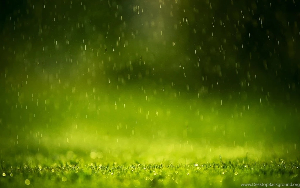 Rain Wallpapers