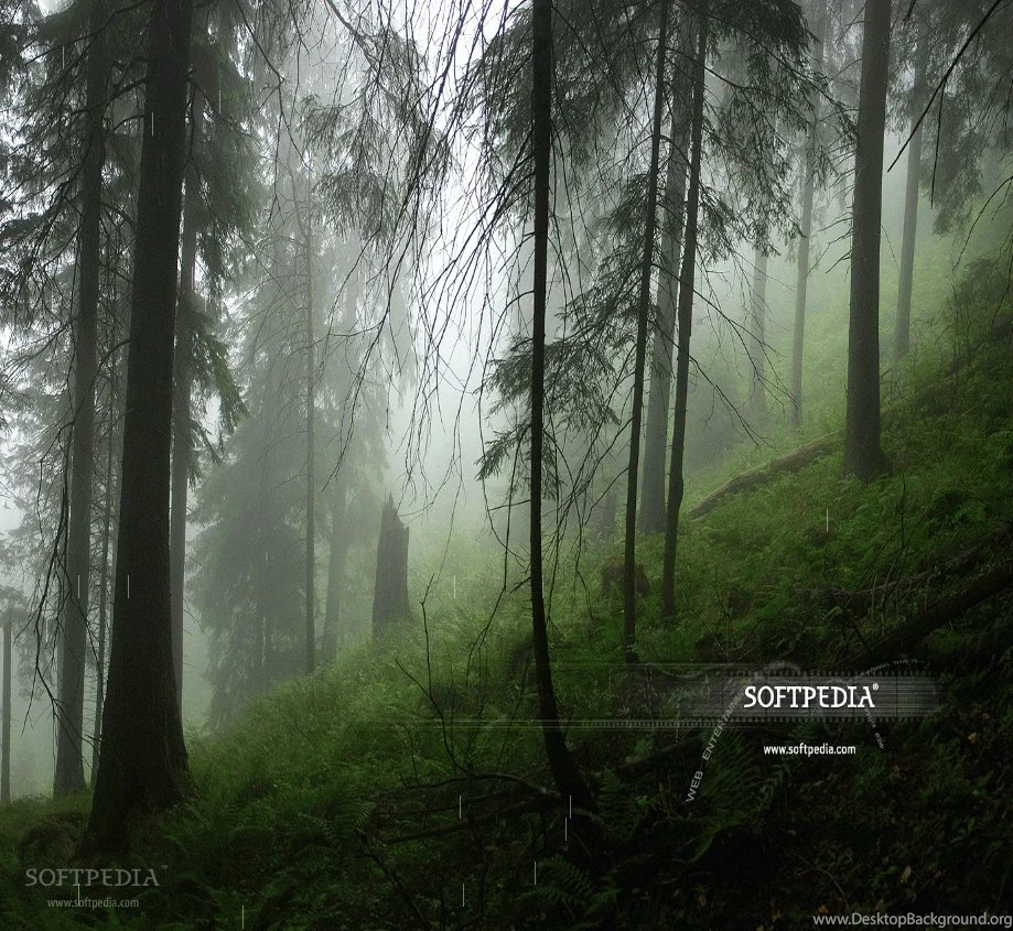 Animated Rain Wallpapers Download
