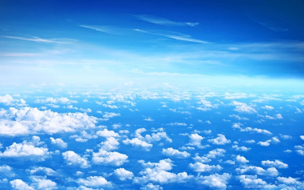 Contact Us Dreamcloud