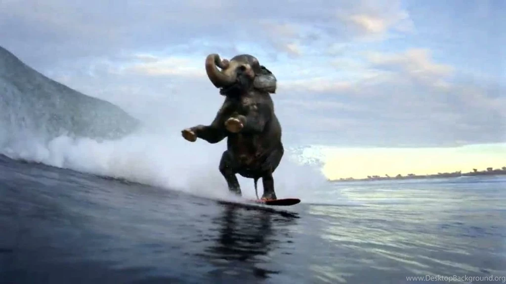 Accenture Surfing Elephant