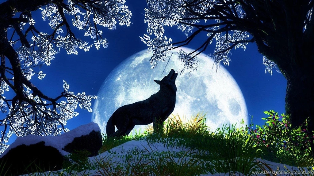 Wolf Moon >> HD Wallpaper, Get It Now!