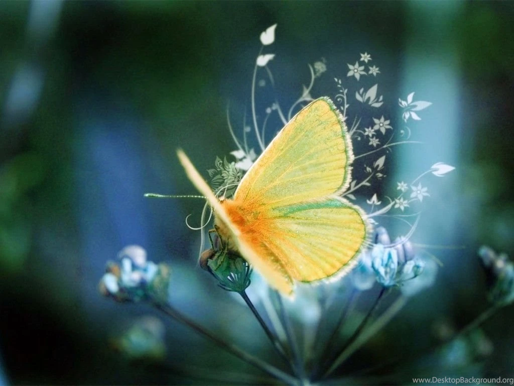 New Laptop Wallpapers HD Wallpaper Backgrounds Of Your Choice
