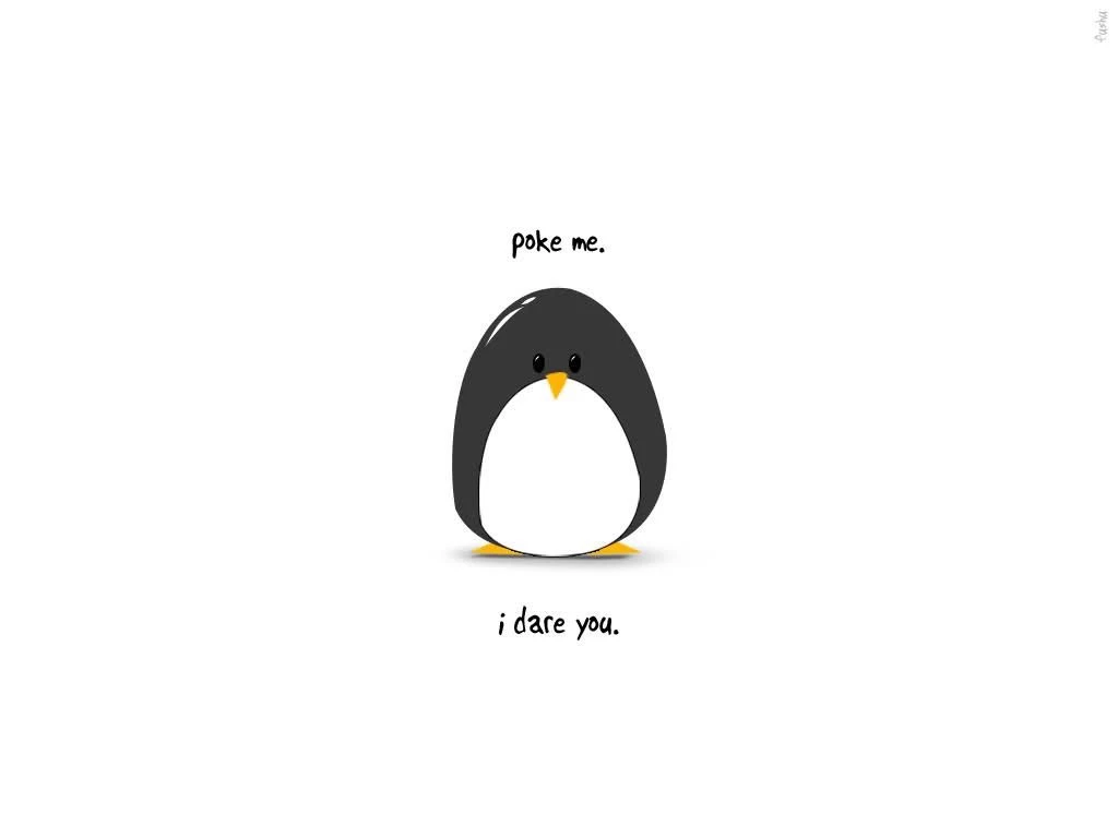 Cute Penguin Backgrounds