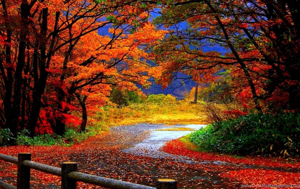 Autumn Wallpapers Hd Widescreen Desktop