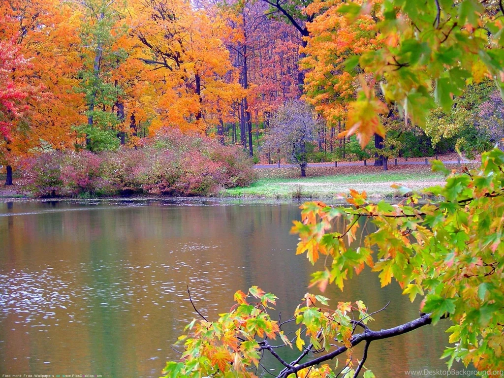 Autumn Nature Wallpapers Desktop Wallpaper.