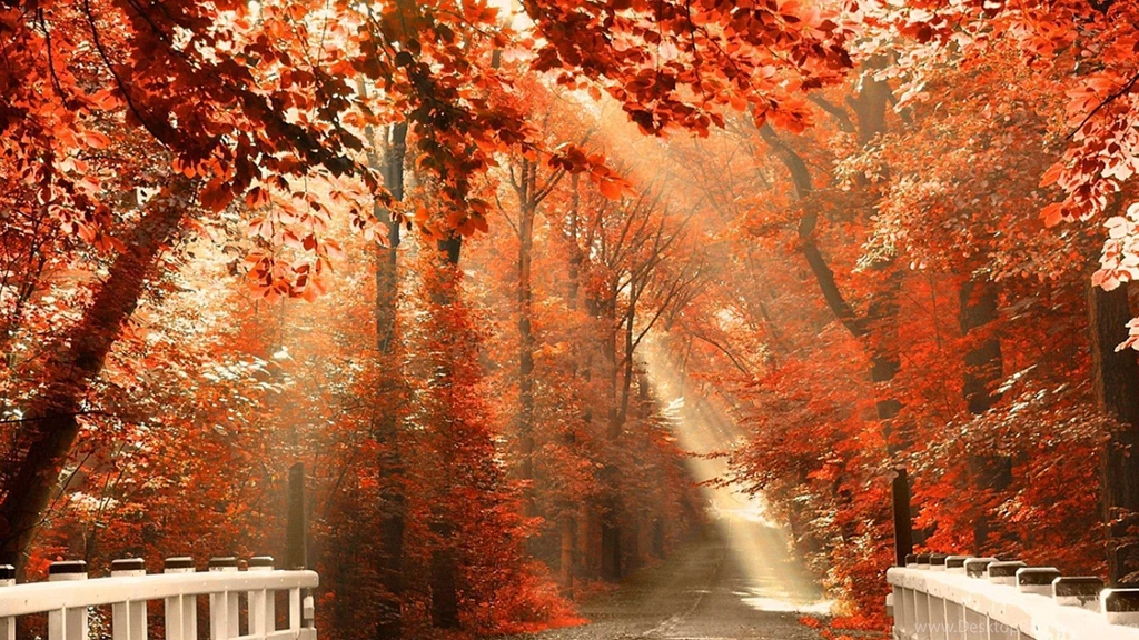 Autumn Scenery Manualwall.com