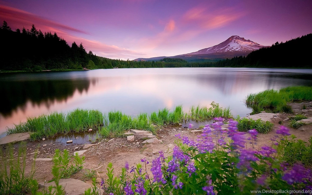 3d Nature Wallpapers Desktop Backgrounds Latest Wallpapers