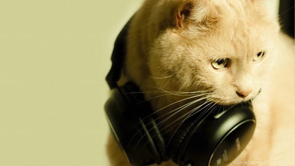 Cat And Headphones Wallpapers Free Cat And Headphones Wallpapers By ...