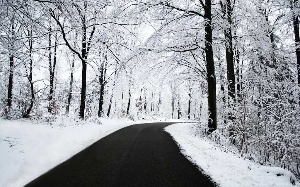 Winter Backgrounds Wallpapers
