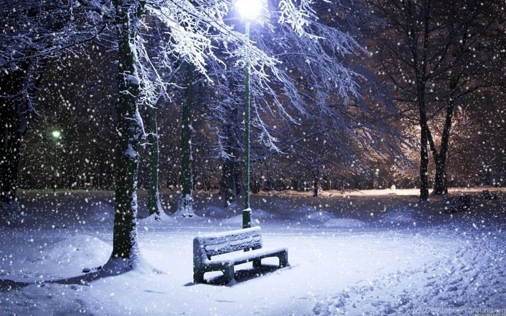 Winter Park Bench Windows 8 Wallpapers