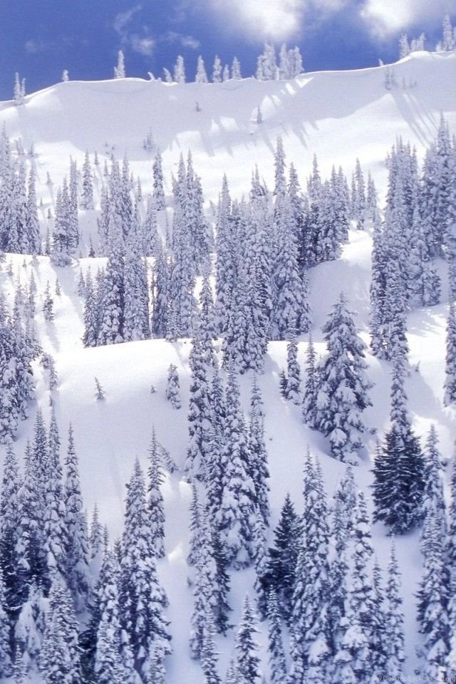 Winter Wallpapers For iPhone 4 01
