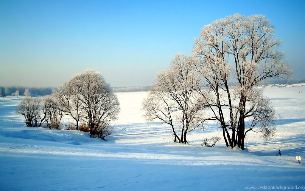 Snow Winter Wallpapers Desktop HD