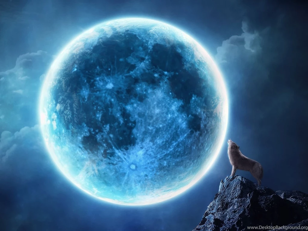 Full Moon Werewolf   Wallpaper.