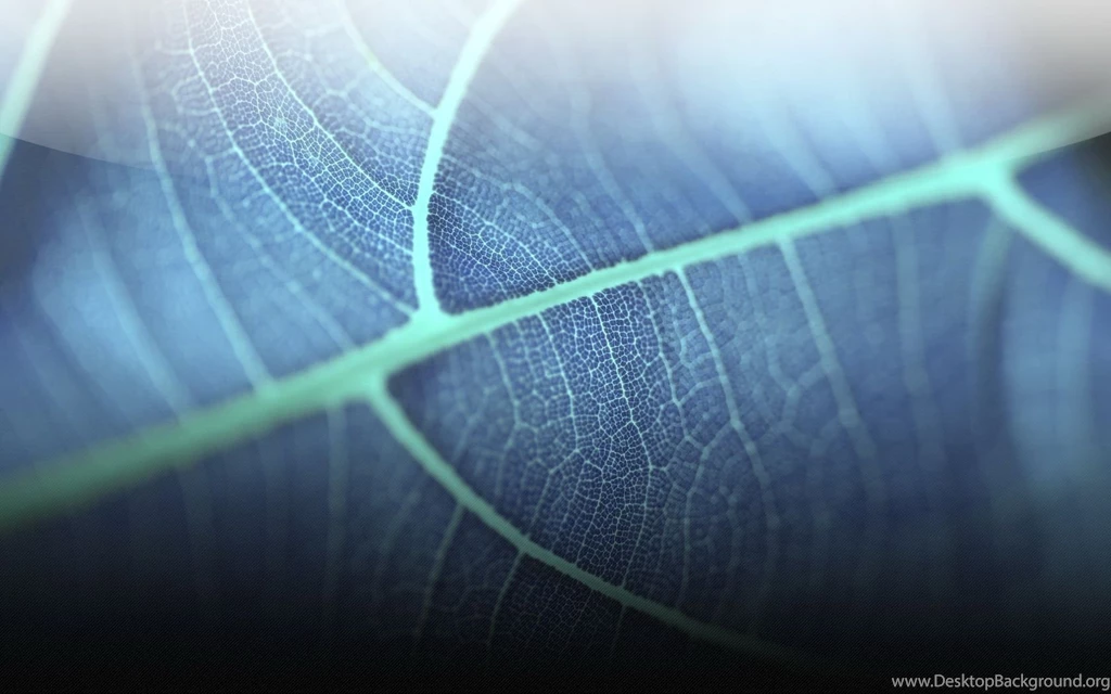 Transparent HD Wallpapers