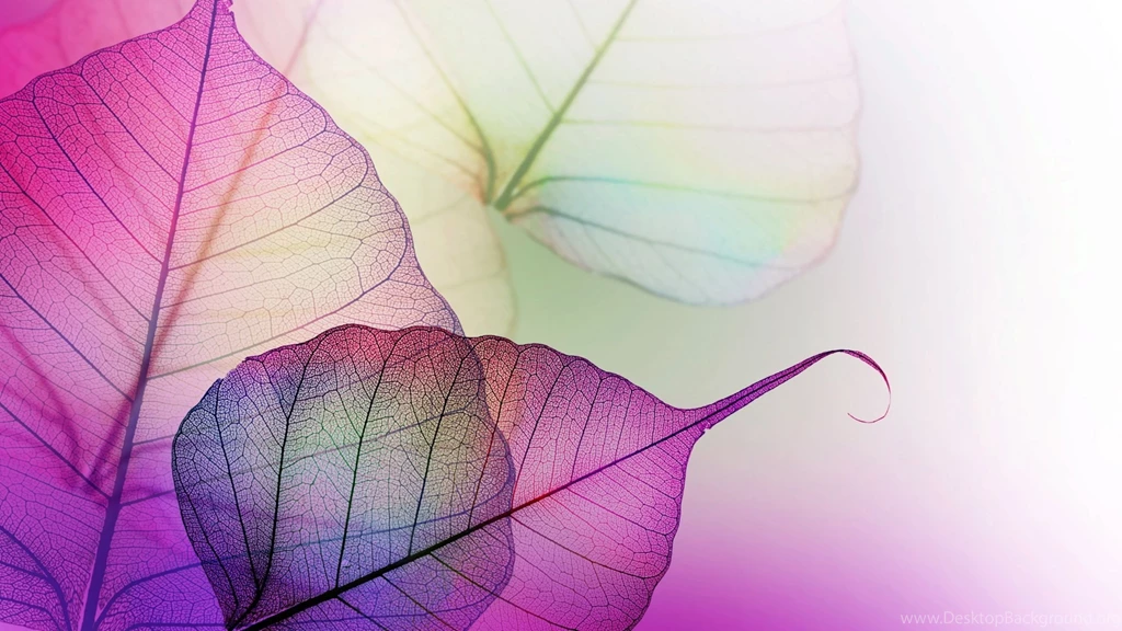 2560x1440 Transparent Mauve Leave Veins Wallpapers
