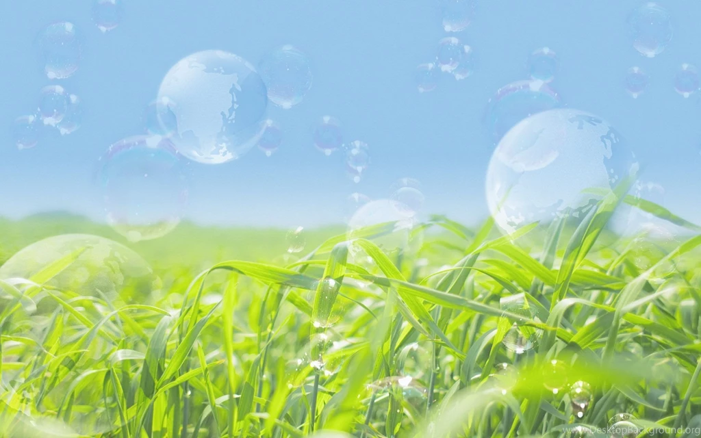 Wallpapers bubbles transparent nature 105846 ~ Columbine & Company