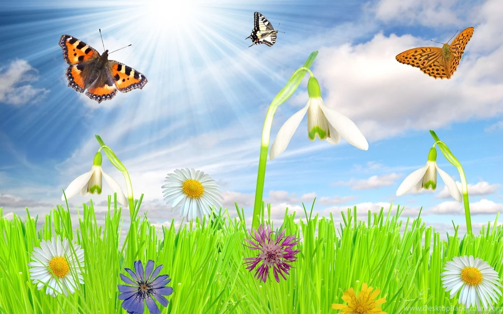 Free Spring Backgrounds Desktop