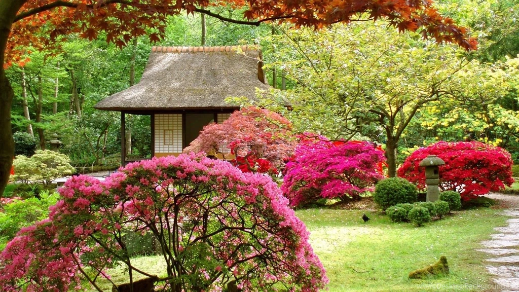 Download Free Spring Wallpapers