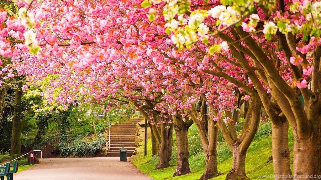 Spring Season HD Wallpapers