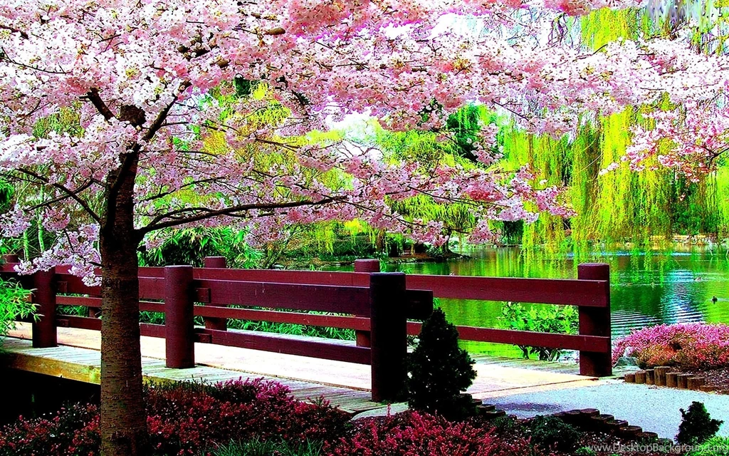 Free Spring Desktop Wallpapers ~ Toptenpack.com