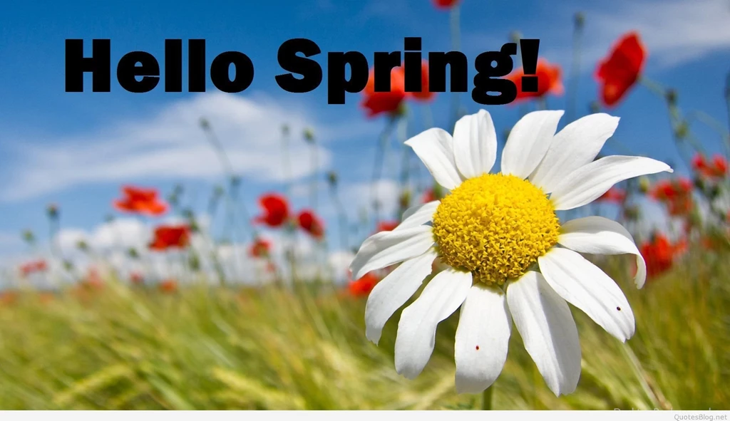 Free spring wallpaper 2015.jpg