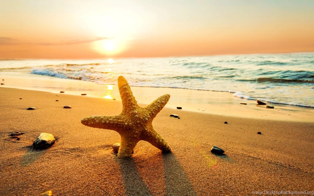 Sunset Wallpapers Full HD