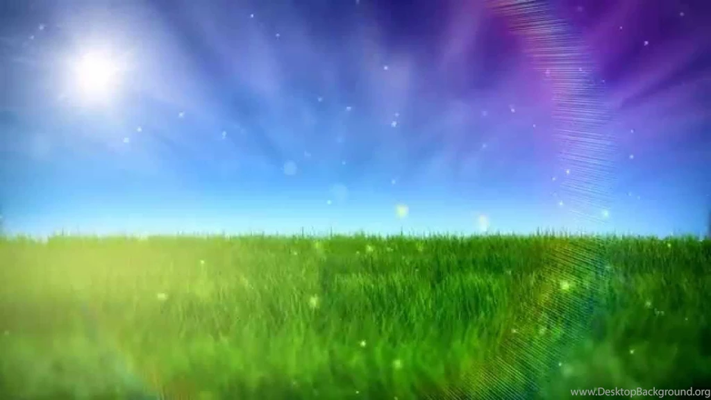 Free Nature Video BackGround HD YouTube