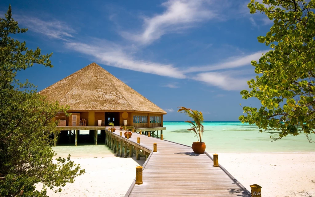 Download Summer Wallpapers HD 684 1920x1200 Px High Resolution ...