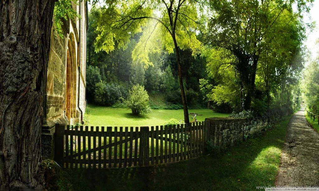 Beautiful Pathway, Summer HD Desktop Wallpapers : Widescreen : High ...