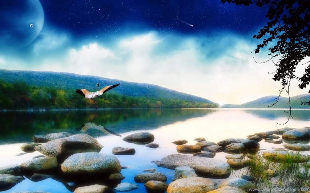 Tree Wallpapers Hd Wallpapers 549338