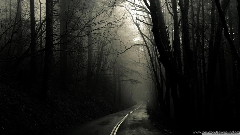 Dark Road Forest HD Desktop Wallpapers : High Definition ...
