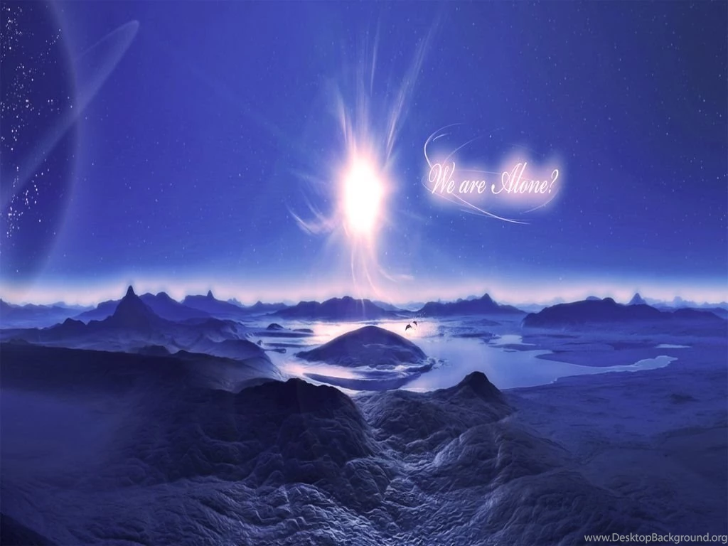 Dolphins ♥ ~   Dolphins Wallpapers (10346639)   Fanpop