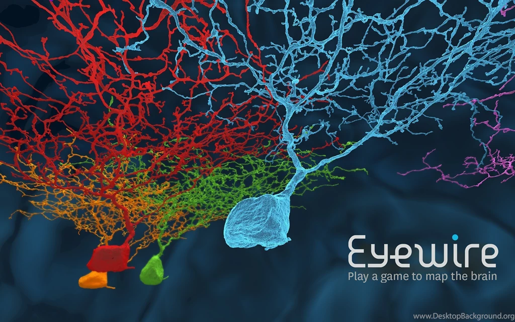EyeWire Desktop Background Ganglion Style.jpg