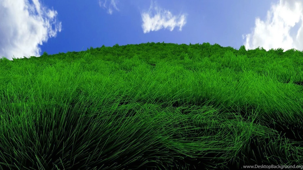 Top Grass Desktop Wallpaper Images For Pinterest