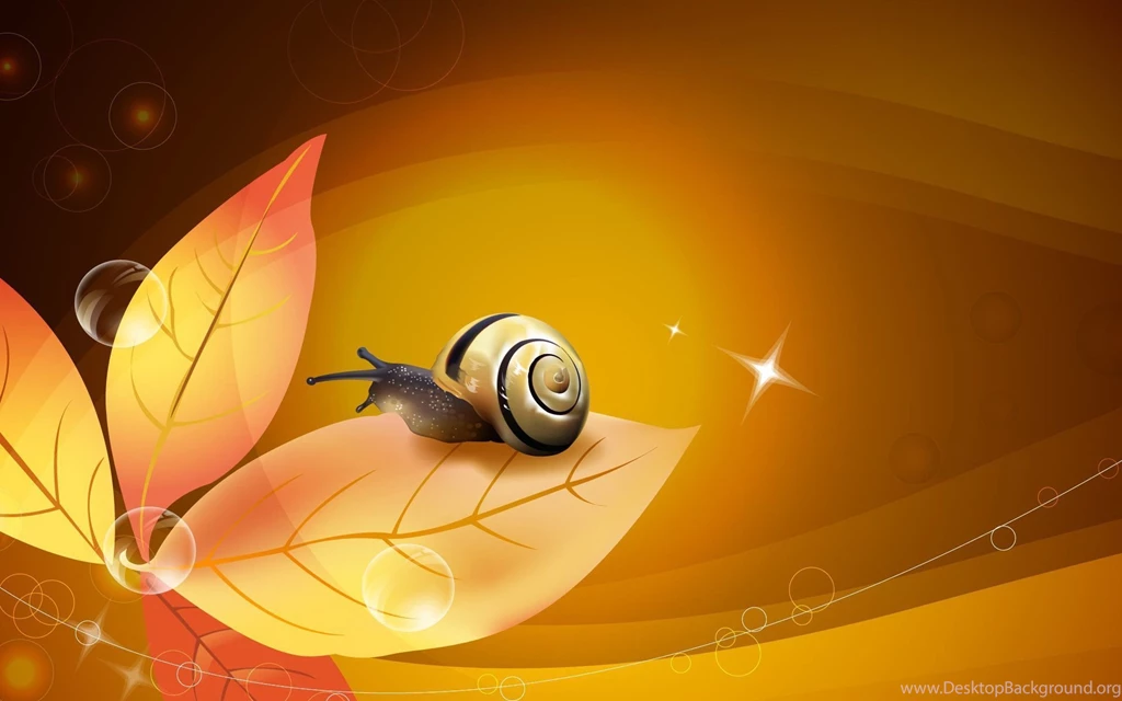 HD Backgrounds Wallpapers