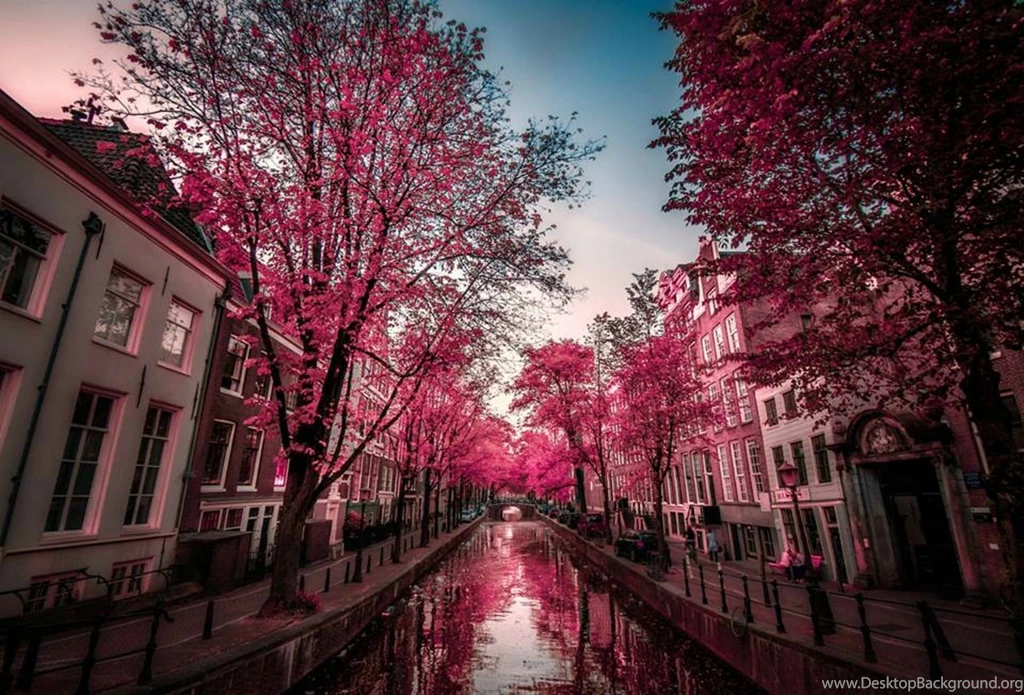 Amsterdam Computer Wallpapers, Desktop Backgrounds