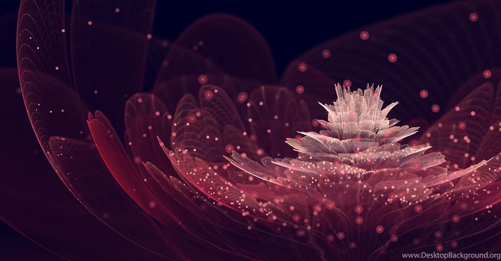 Abstraction, Flower, Petals, Neon, Net, Sparks, Pink, Black ...