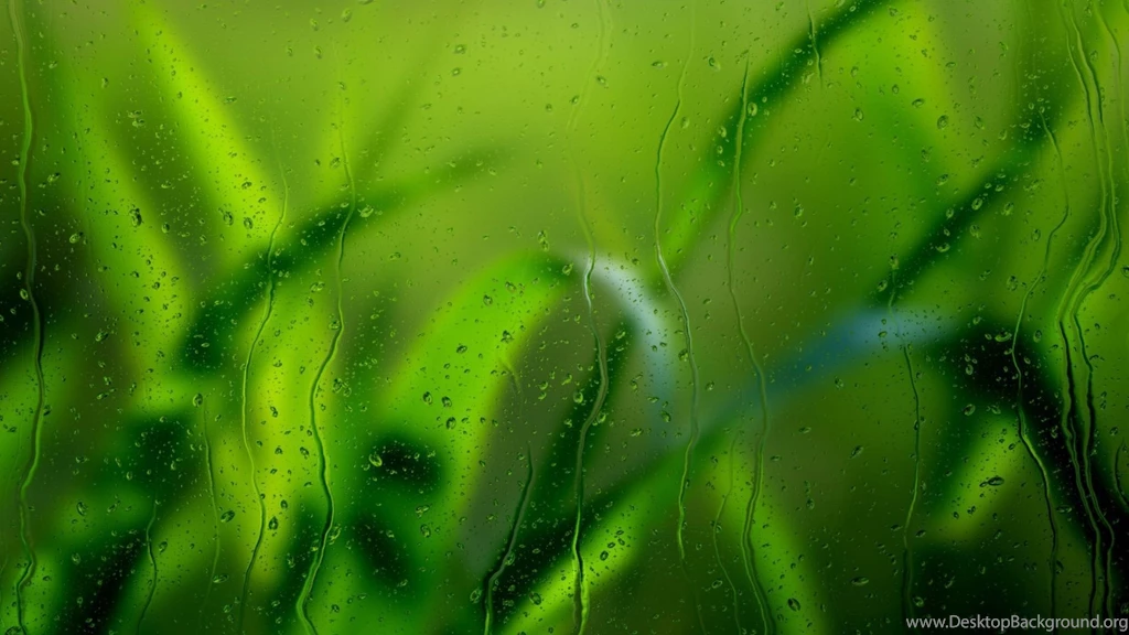 Download Wallpapers 1920x1080 Glass, Grass, Drops, Macro, Texture ...
