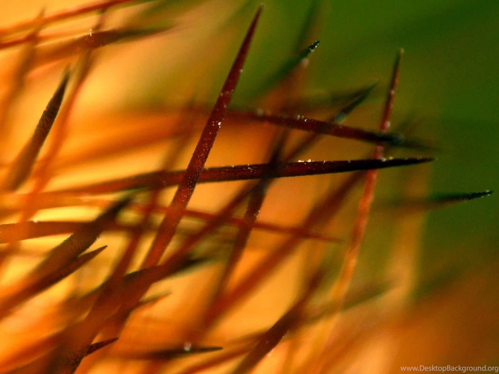 Texture Wallpapers Hd Wallpapers Free Texture Wallpapers Hd ...