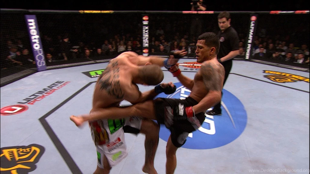 UFC On FOX 6: Anthony Pettis And Ricardo Lamas Post Fight ...