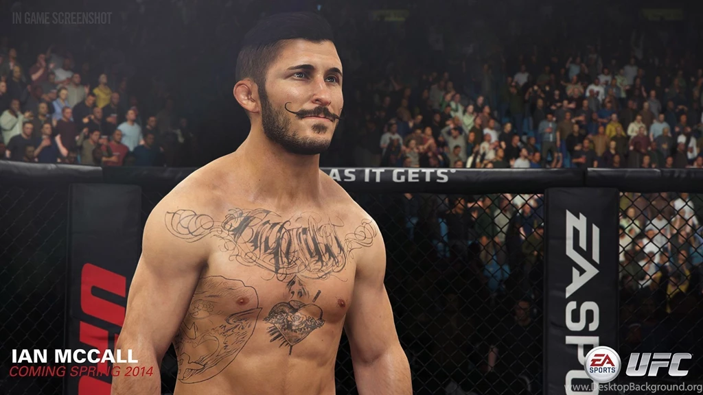 Review: EA Sports UFC