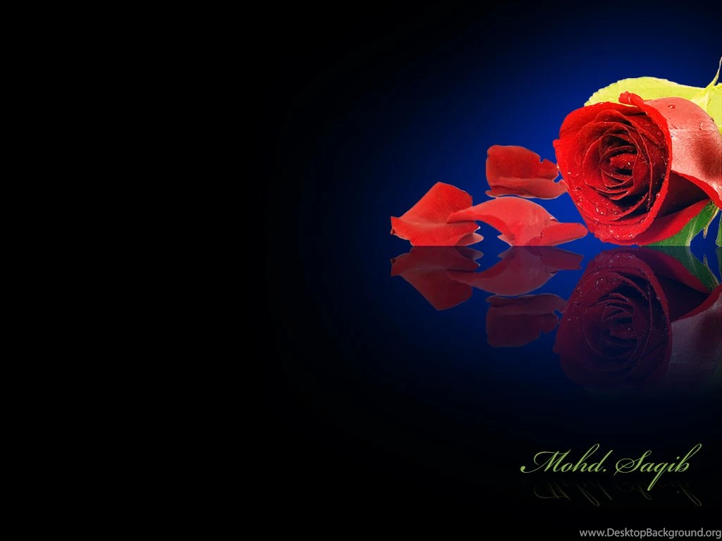 Roses Desktop Wallpapers