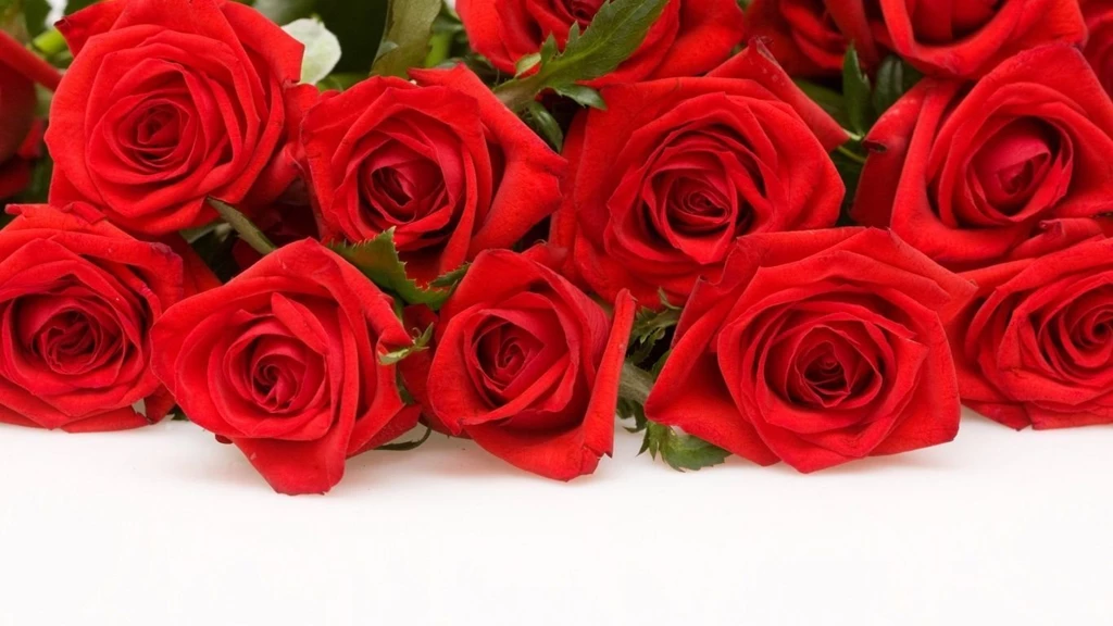 1366x768 Red Roses Desktop PC And Mac Wallpapers