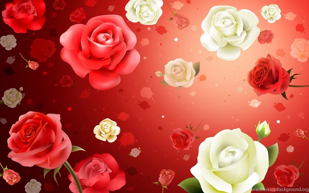 1680x1050 Roses Desktop PC And Mac Wallpapers